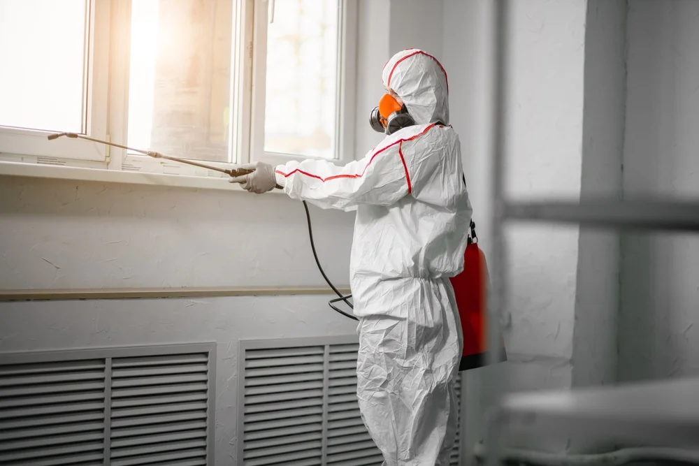 Professional mold remediation services in Cotulla, TX